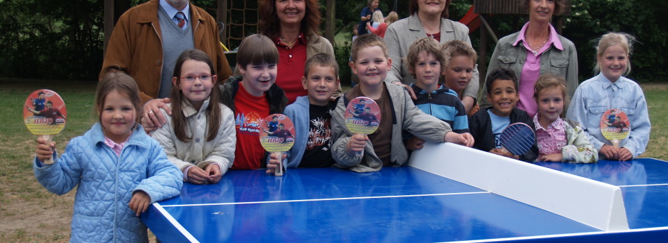 Tischtennisplatte 2007